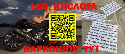 ПСИЛОЦИБИНОВЫЕ ГРИБЫ Заволжье