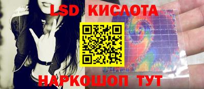 ПСИЛОЦИБИНОВЫЕ ГРИБЫ Заволжье
