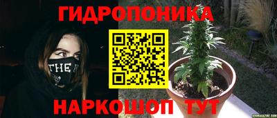 ПСИЛОЦИБИНОВЫЕ ГРИБЫ Заволжье