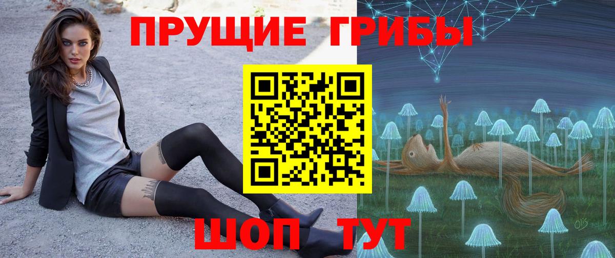 Галлюциногенные грибы Psilocybe Шахты