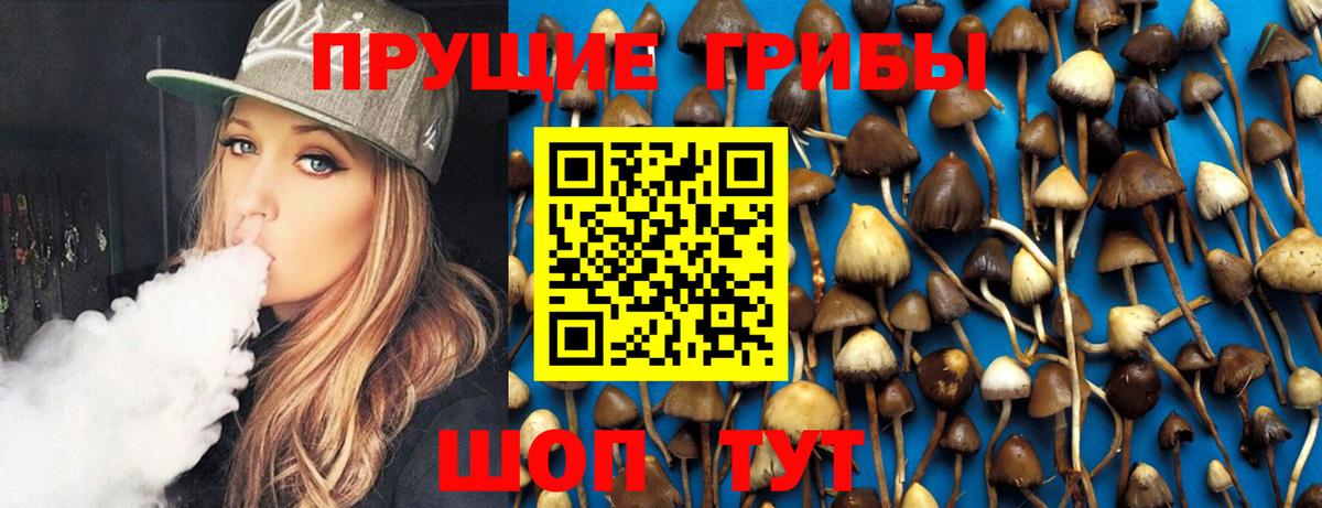 Шахты  Псилоцибиновые грибы мухоморы  Вход с VPN 